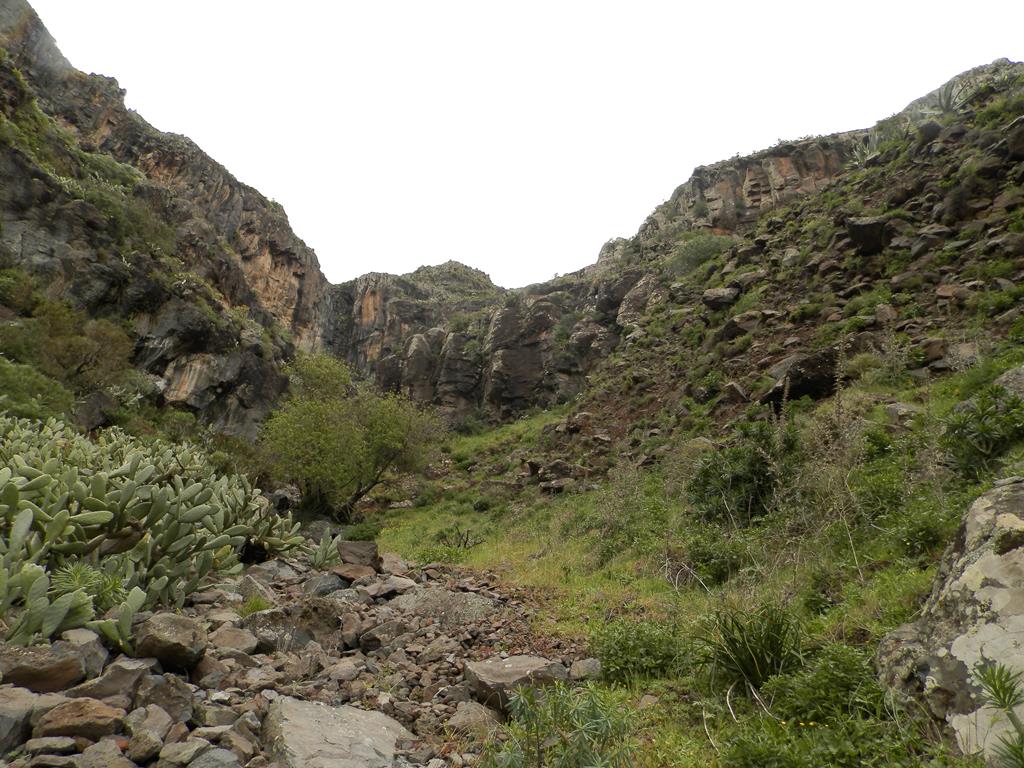 Wanderung von Arure nach  El Cercado, Calera